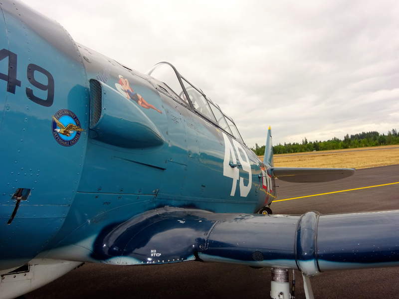 Illustration for article titled EAA Fly In - Arlington WA
